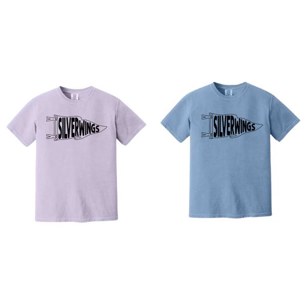 Hebron High School Silver Wings 25-4