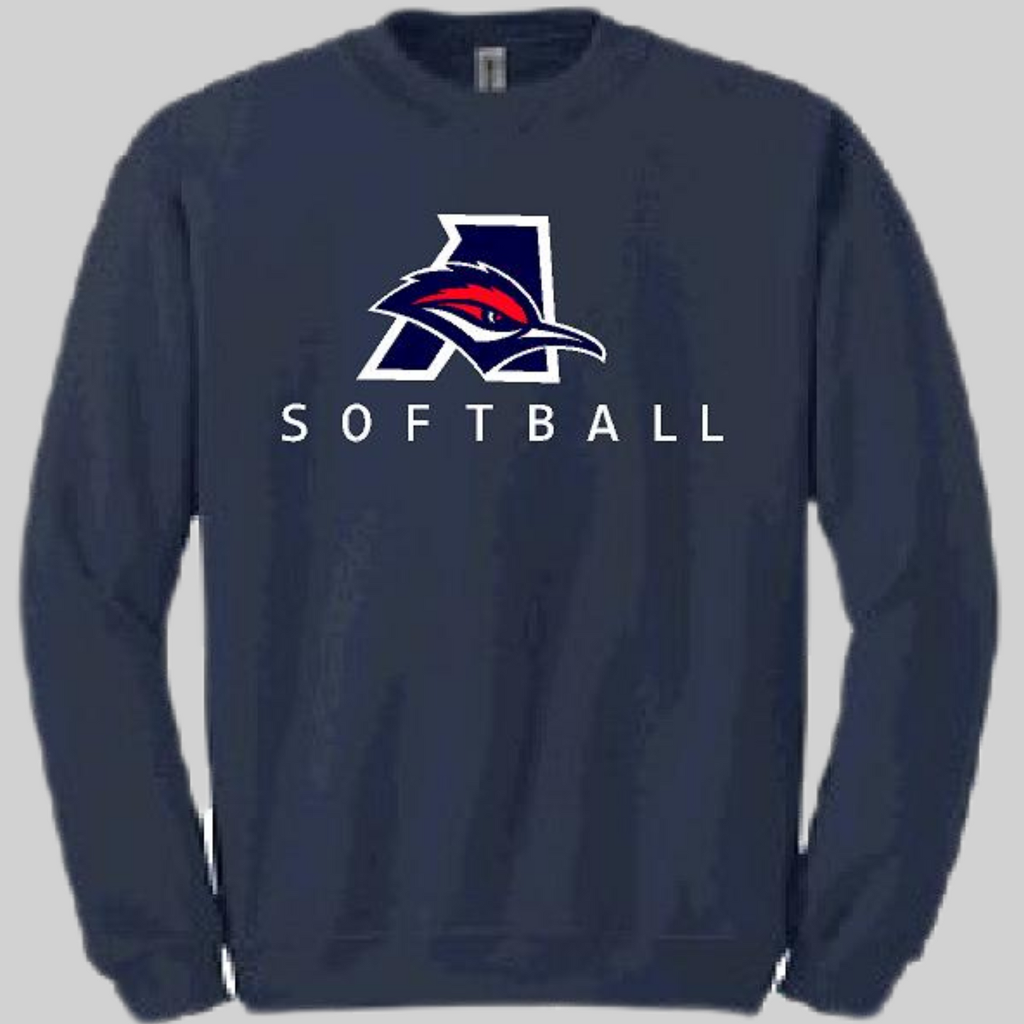 Aubrey High School Softball 23-4
