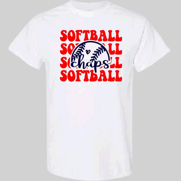 Aubrey High School Softball 23-1