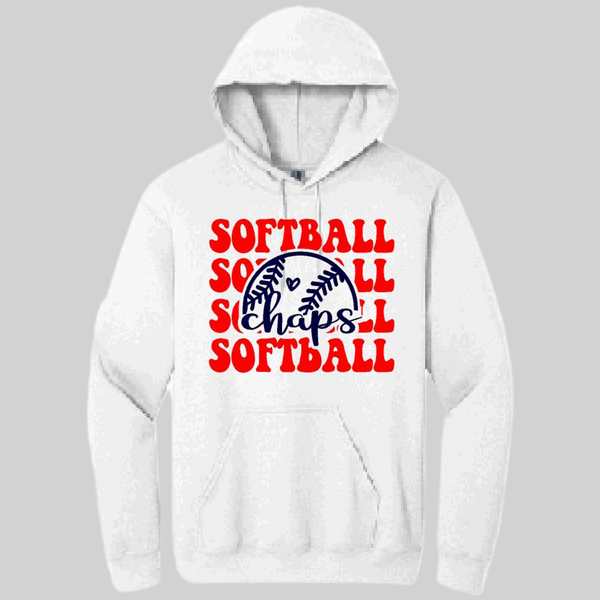 Aubrey High School Softball 23-1