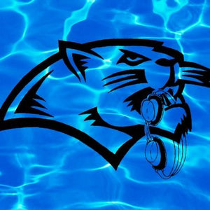 Swim and Dive