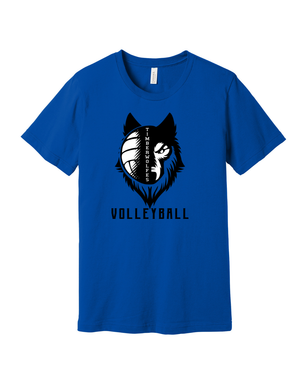 NTHAA Volleyball  26-3