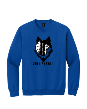 NTHAA Volleyball  26-3