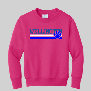 Wellington 24-2