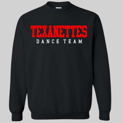 Texanettes Middle School Dance Team 24-2