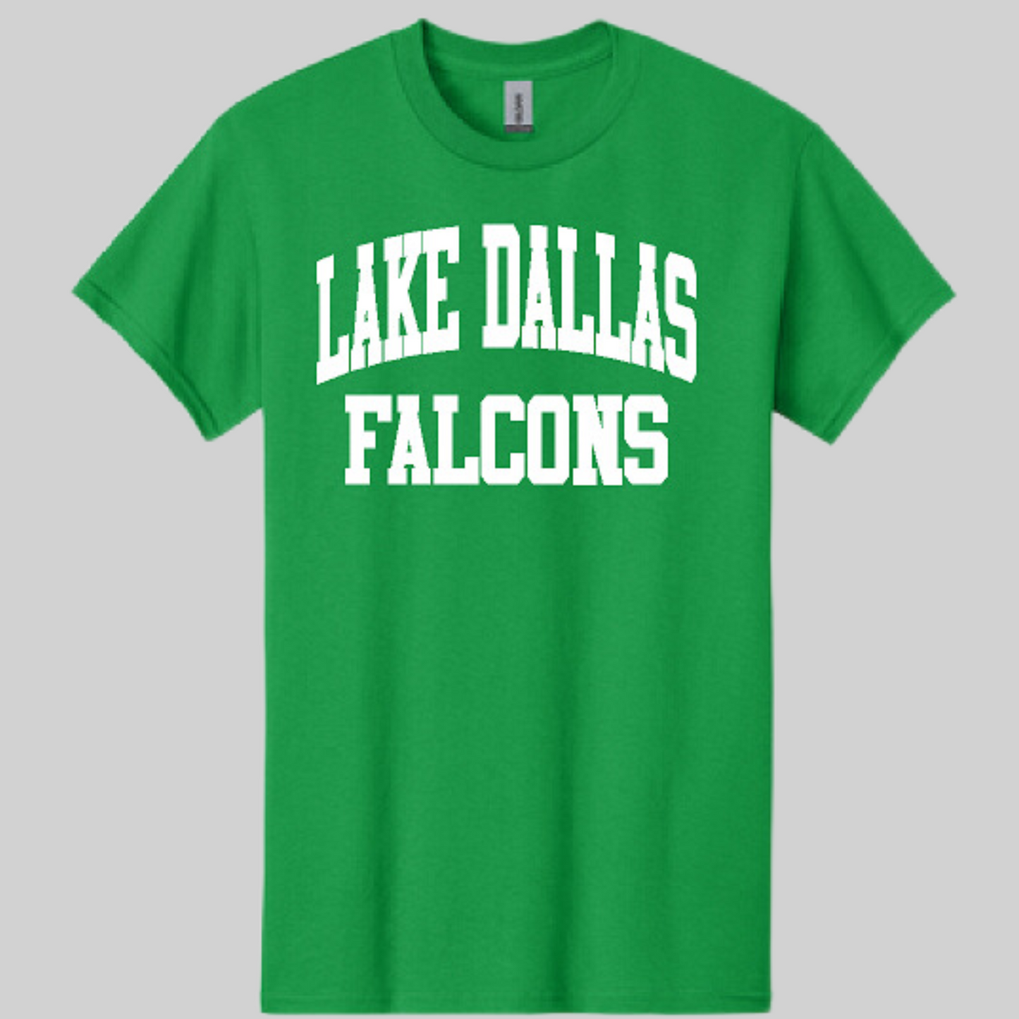 Lake Dallas Elementary 24-3