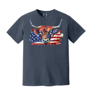 America Longhorn