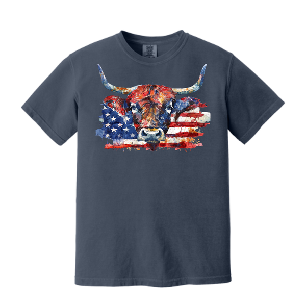 America Longhorn